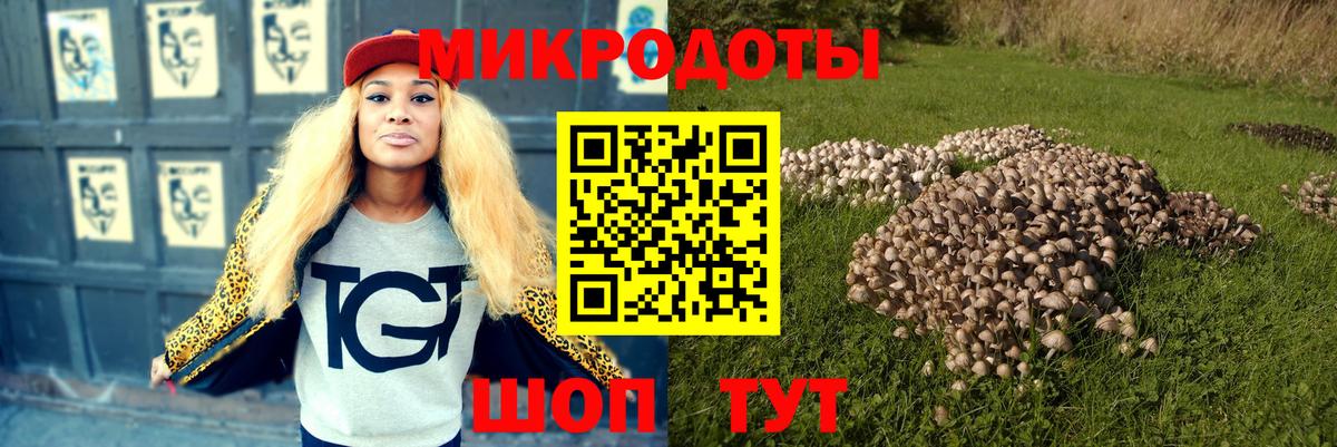 Галлюциногенные грибы Cubensis Клин