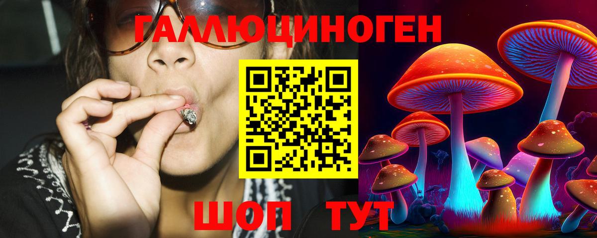 Галлюциногенные грибы GOLDEN TEACHER  Вход с VPN  Клин  Галлюциногенные грибы GOLDEN TEACHER 